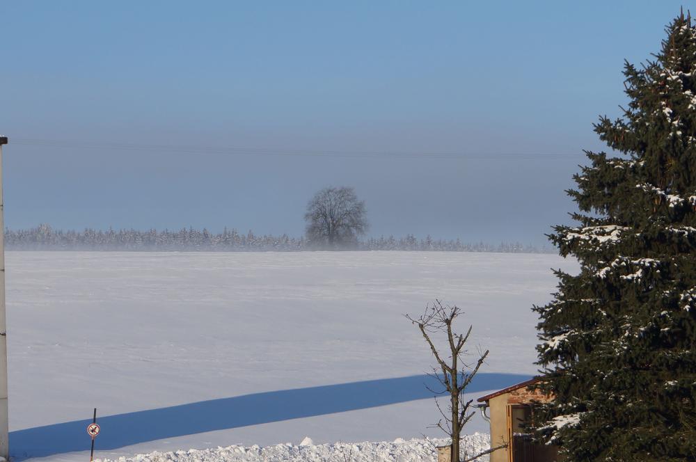 Willkommen auf dem Englerthof